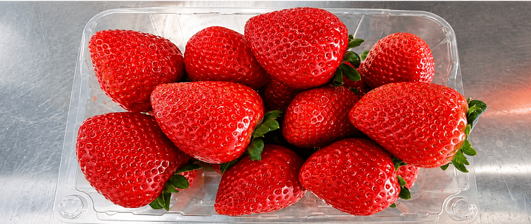Strawberry Fields 4