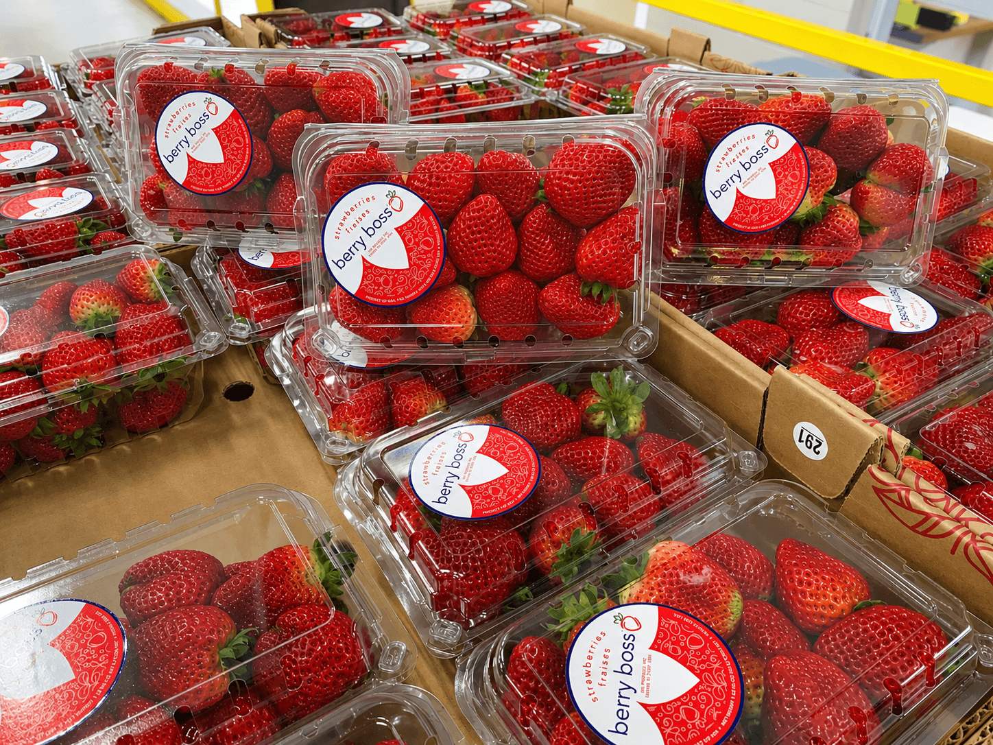 Fresh Strawberries in Crate